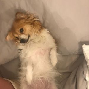 Meet your Posher, Shelly